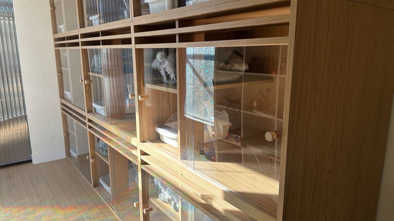 Box individuels en bois clair avec portes vitrées pour chaque chat