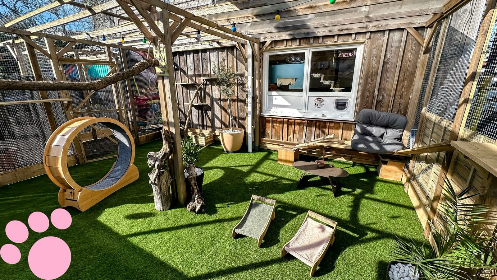 Patio extérieur sécurisé avec gazon, structures de jeu et roue d'exercice
